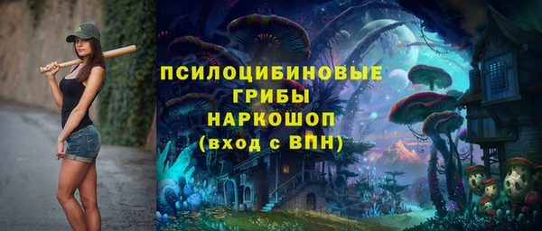 МДПВ Алексин