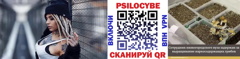 Псилоцибиновые грибы мухоморы Бологое